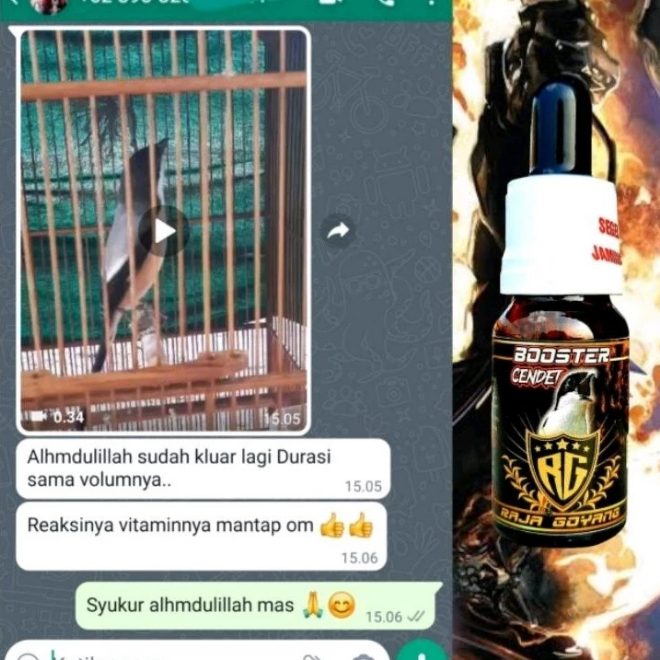 Raja Goyang Booster Cendet – Serum Herbal Penggacor Instan Burung Cendet screenshot