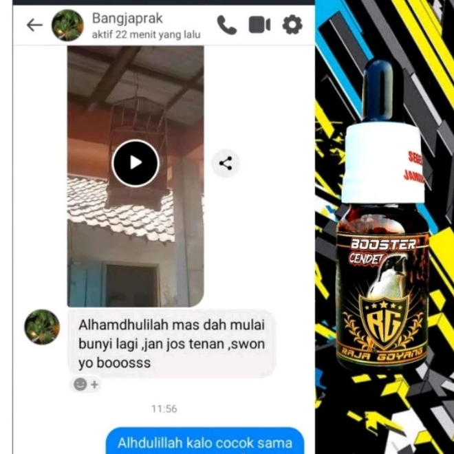 Raja Goyang Booster Cendet – Serum Herbal Penggacor Instan Burung Cendet screenshot